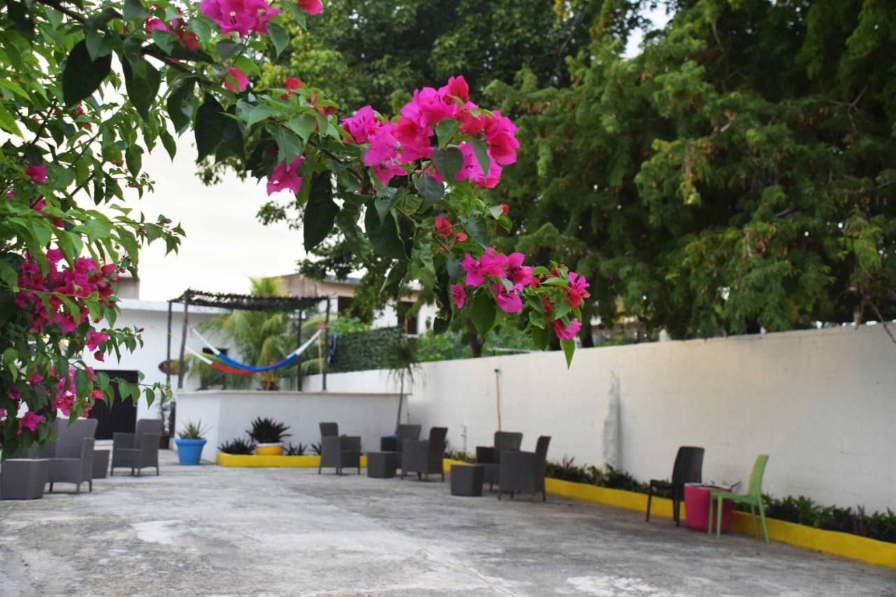 Hostal Casa Bohemia Mérida Exteriör bild
